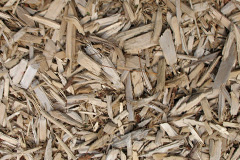biomass boilers Bricket Wood